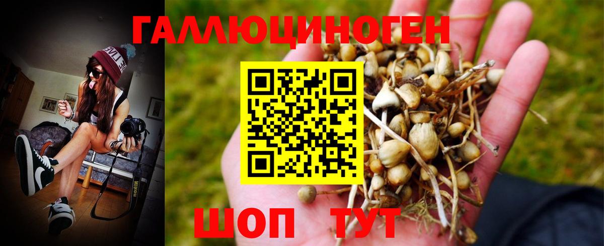 Мурино  Галлюциногенные грибы Cubensis  Галлюциногенные грибы Psilocybe  Вход с VPN 
